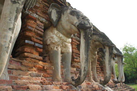 ワット・ソラサック象の画像